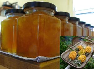 Queensland Rough pineapple jam