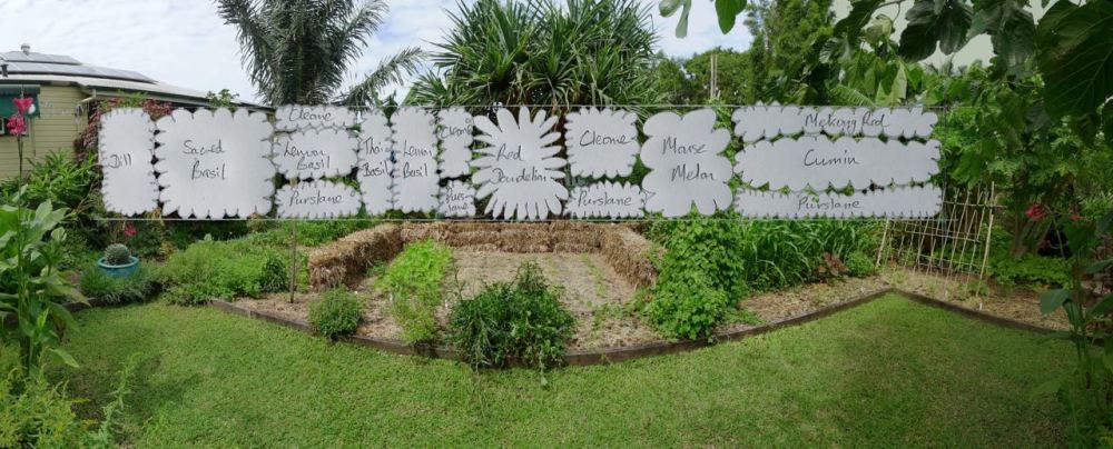 21st century cottage gardening: food, medicine and insectary plantings