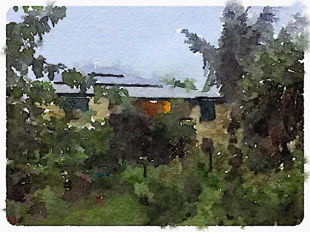 Bellis during east coast low, 1.5.15