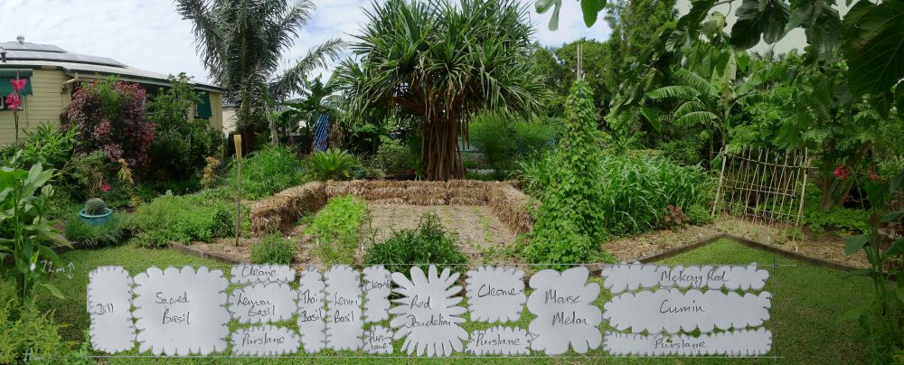Predator Border Planting Panorama, autumn 2015 - 3