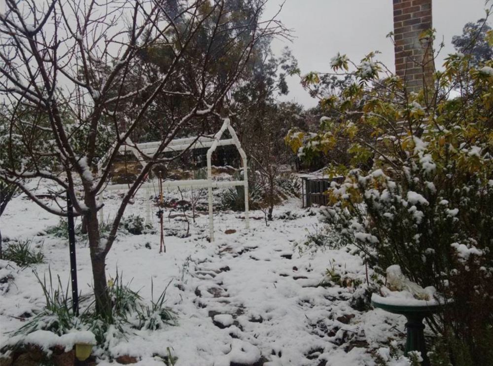 Leonie Dufton, Ballandean, QLD 4382