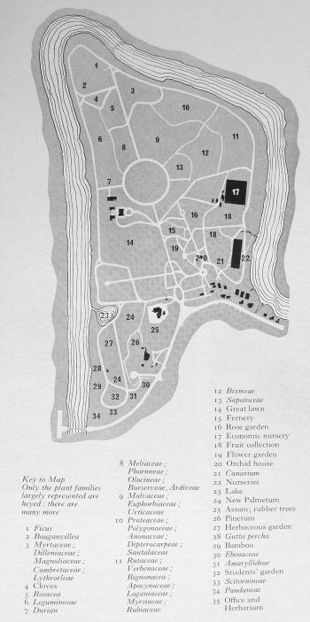 Peradeniya Botanical Garden