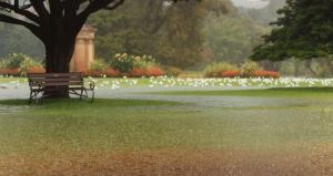 Coring aids turf drainage. Flower Bed Lawn