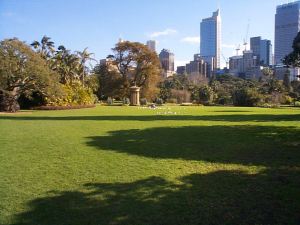 Pesticide free, weed free turf