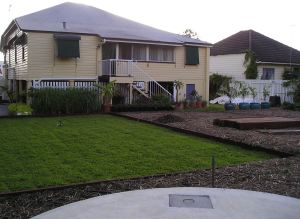 Durban grass, Dactyloctenium australe