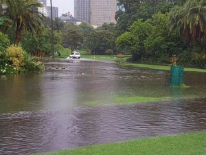 Rising sea levels meet summer stormwater at high tide