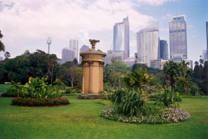Flower Bed Lawn, first day of the Olympics