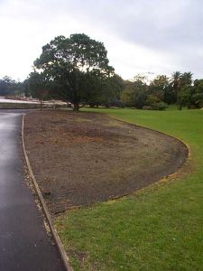 Garden Bed 115 is turfed over to save labour