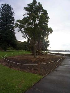 Garden Bed 124 is turfed over to save labour