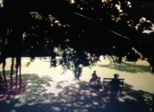 The Sum of Us, movie, Flower Bed Lawn, 1994