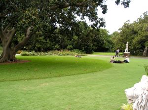 Turf Aprons at Sydney Gardens