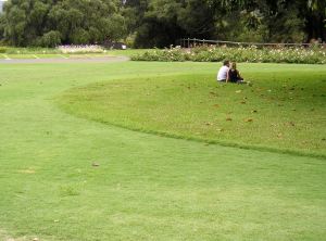 Turf Aprons at Sydney Gardens