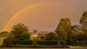 Bellis: landscape integrated into streetscape