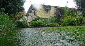 Nature strips and turf mitigate stormwater, erosion and the Heat Island Effect