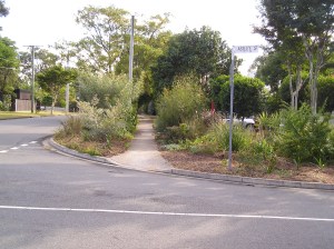 Duncan Street nature strip, Brisbane