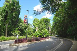 Gardened nature strips, Flecker Botanic Garden, Cairns