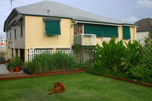 George on his sustainable lawn at Bellis