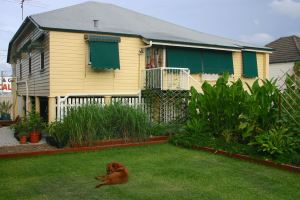 George on his sustainable lawn, Bellis