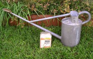 Iron sulphate, a quick fix for bindii