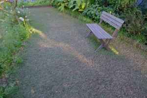 Turf damage at Bellis following Open Day