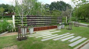 A grass and paver solution to kerbside planting, Bangkok