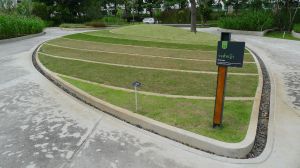 Turf Plots Display, Bangkok