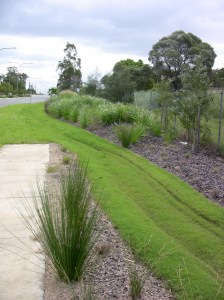 Good design: grass collects, directs stormwater. Quarry Rd, Redlands
