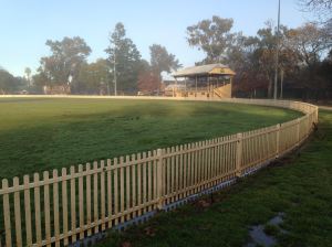 Sports Turf: Richmond cricket oval