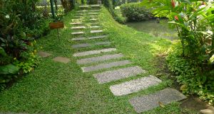 Good design for kerbsides: Pavers and Durban grass, Suan Pakkad Palace, Thailand
