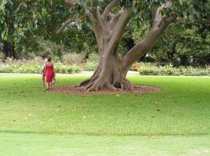 Turf Aprons at Sydney Gardens
