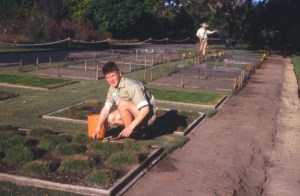 Popular lawn and native grasses on display, Turf Plots, Royal Botanic Gardens, Sydney