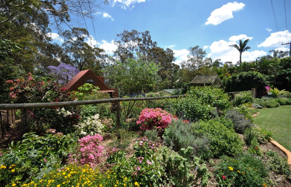 Antonia's sublimely subtropical footpath cottage garden, near Ipswich