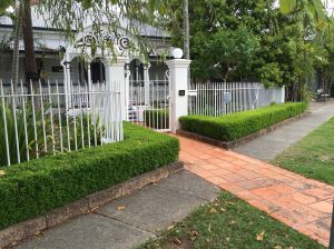 Verge gardens enhance property values. English box completes the picture.