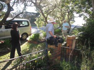 This Brisbane footpath garden has been cultivated by the same owners since the 1960's. Do you know of any older?