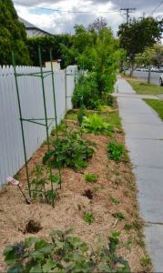 "My garden enabled me to meet local people and to share food with them"