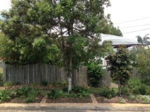 "We've made friends and shared stories. It's surprising some people don't know what a bean looks like!"
