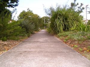 "Our nature strip garden gradually introduced us to all our neighbours. We feel safer now."