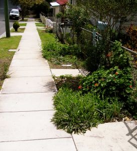 "Because West End already has enough concrete"