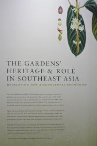 Singapore Botanic Garden