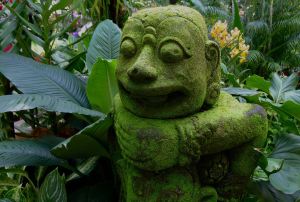 National Orchid Garden