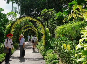 National Orchid Garden