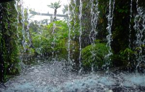 tropical landscape design