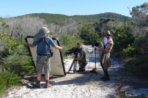 L to R: Chris, Mike and Christal shooting Hibbertia, Noosa National Park.