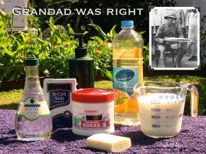 Milk, coffee, bicarbonate of soda, vegetable oil, vinegar are safe and effective for crop protection