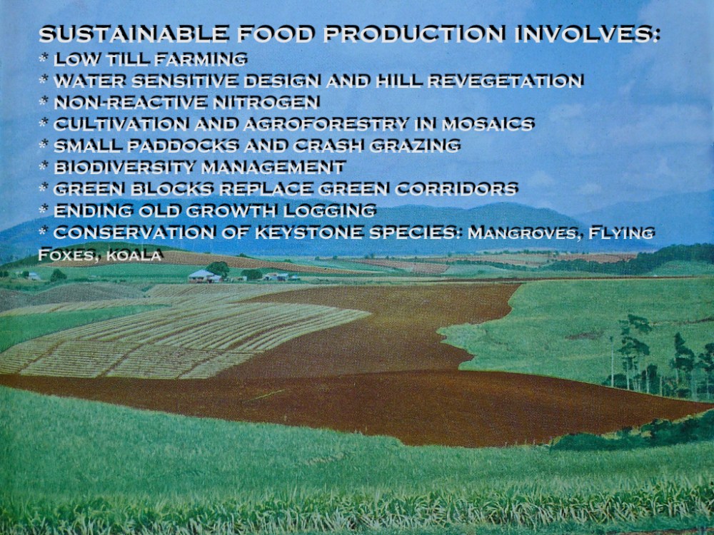 Key aspects of sustainable food production