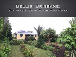 Bellis: an affordable, versatile model of sustainable power, water, genes and food production