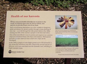 Rare and threatened plants display, Sydney Botanic Gardens