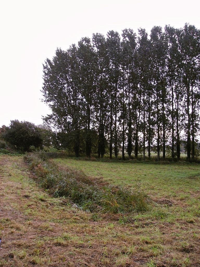 Ancient Priory Meadow by River Frome, Wareham, England