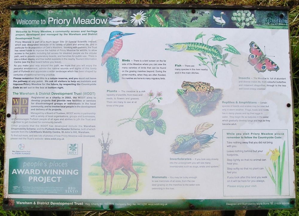 Priory Meadow by River Frome, Wareham, UK.