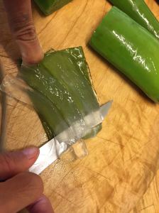 Aloe vera leaf - fully peeled
